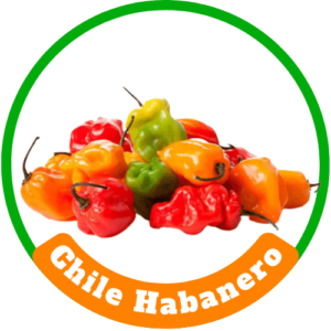 Chile Habanero