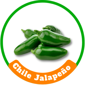 Chile Jalapeño